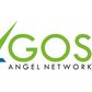 Lagos Angel Network