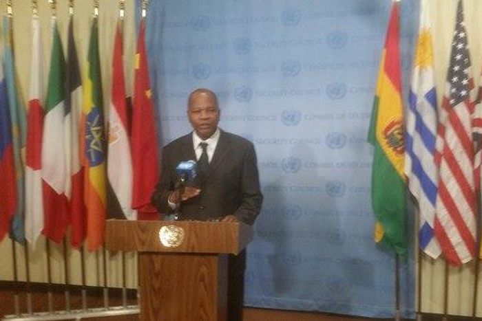 Special Representative of the UN Secretary-General for West Africa and Head of UN Office for West Africa and Sahel, Mohamed Chambas