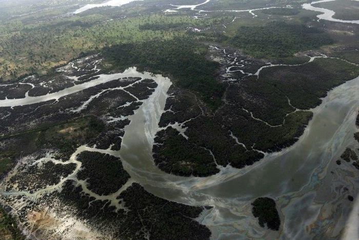 An aerial photograph shows creeks and vegetation devastated as a result of spills from oil thieves and Shell operational failures in the Niger Delta, pictured on March 22, 2013