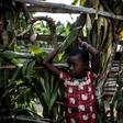 Months of ongoing violence in DR Congo's central Kasai region has claimed more than 3,300 lives and forced more than 1.3 million people into exile