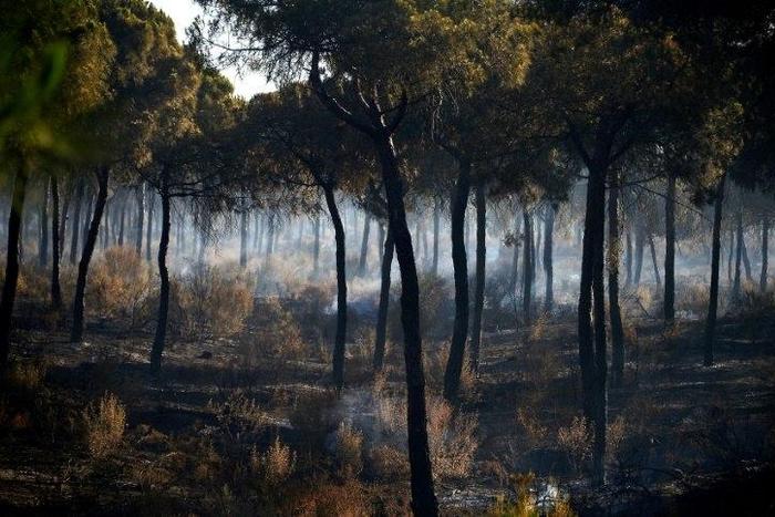 A reconnaissance flight over the affected zone showed that the blaze was on the wane after three nights of fire-fighting