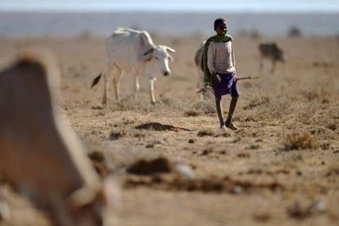 Millions of Kenyans suffer from drought and famine.