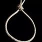 Hangman's noose