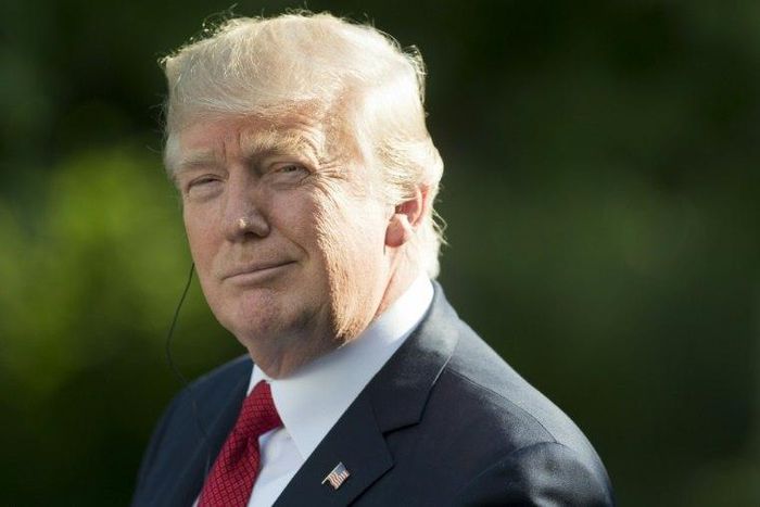 US President Donald Trump's decision to walk away from the Paris climate deal appears to have galvanised US mayors to take action on their own