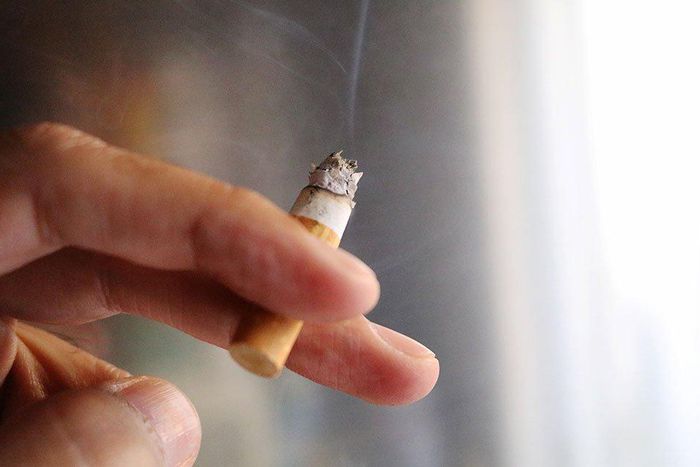 WHO says Tobacco users die prematurely