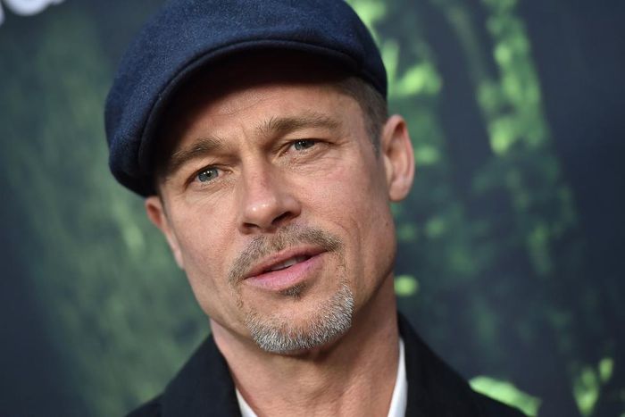 ___6621070___https:______static.pulse.com.gh___webservice___escenic___binary___6621070___2017___5___3___18___bradpitt