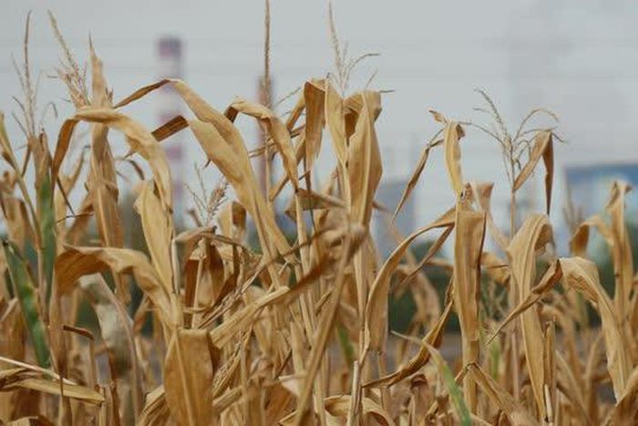 ___7205827___https:______static.pulse.com.gh___webservice___escenic___binary___7205827___2017___8___25___15___videoblocks