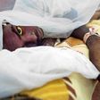 A recent meningitis outbreak in 23 Nigerian states has claimed over 1000 lives