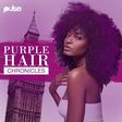 Purple Hair Chronicles artwork