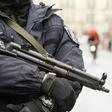 Scores of Berlin police officers have been sent home after throwing an alcohol-fuelled party topped with sex in public in Hamburg