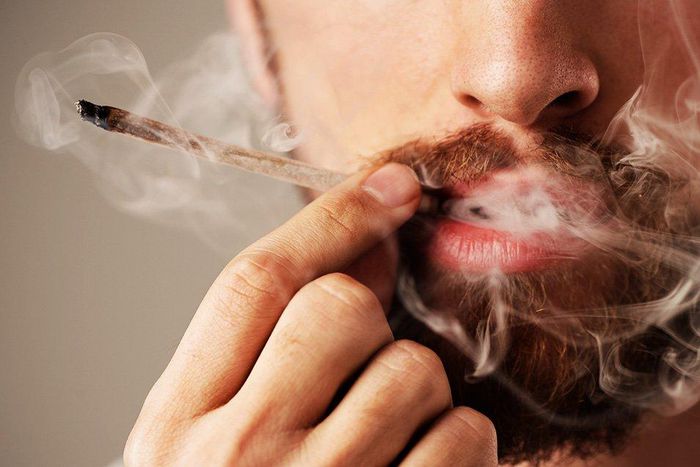 pot isnt as harmless