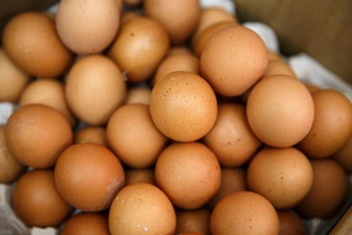 Millions of eggs have been pulled from supermarket shelves and destroyed across Europe and dozens of poultry farms closed since the discovery of contamination with fipronil, which can harm human health, was made public on August 1