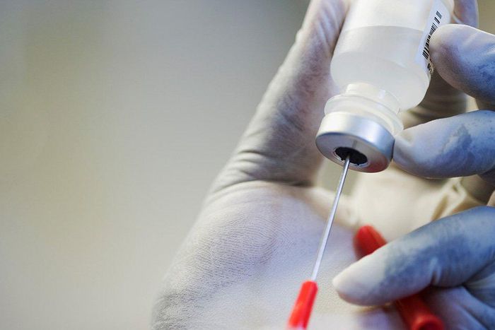 Yobe Govt vaccinates 5m livestock to ensure healthy meat, dairy products