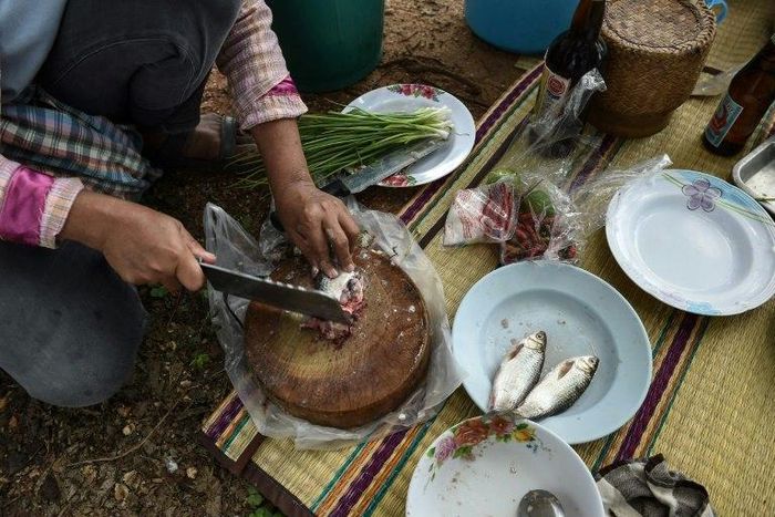 Millions of Thais across the rural northeast eat koi pla -- a local dish made of raw fish ground with spices and lime. The pungent meal is quick, cheap and tasty, but it is also a favourite feast for parasites that can cause a lethal liver cancer.