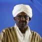 Sudanese President Omar al-Bashir has ordered authorities to set up a fact-finding committee to investigate violence during anti-government protests that have rocked the African country since December 19