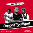 DJ Atte - Dance if you want ft Small Doctor, Magnito