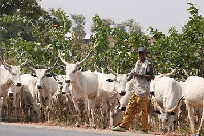 Provisions of the proposed bill to establish a ranching commission in Nigeria