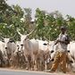 Provisions of the proposed bill to establish a ranching commission in Nigeria