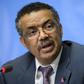 Ethiopian Foreign Minister Tedros Adhanom is bidding to become the first African to lead the WHO
