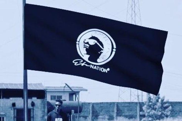 ___7103284___https:______static.pulse.com.gh___webservice___escenic___binary___7103284___2017___8___6___10___efe_based-on-logistics