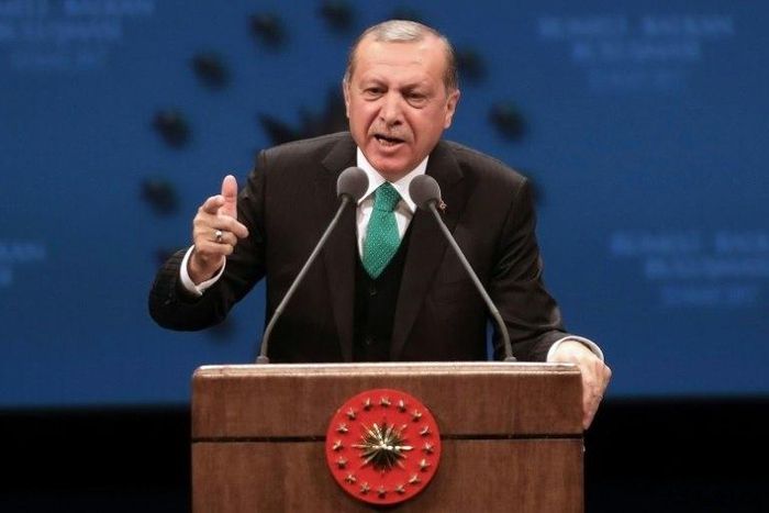 "How does that work, you have the right to call Erdogan a 'dictator' but Erdogan doesn't have the right to call you 'fascist' and 'Nazi'?" Erdogan said during an interview with the CNN-Turk and Kanal D television channels