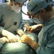Surgeons performing a kidney transplant