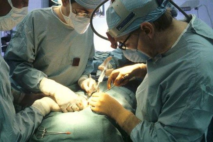 Surgeons performing a kidney transplant