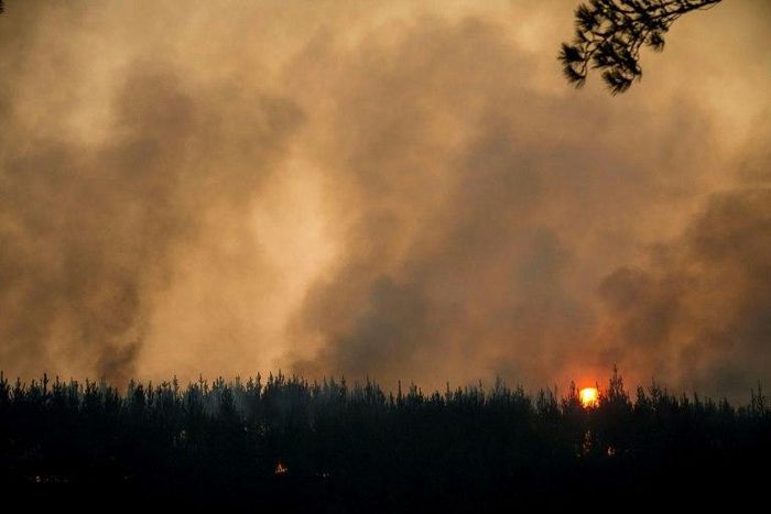 View of a forest fire in Llico, 250 km south of Santiago, on January 27, 2017
