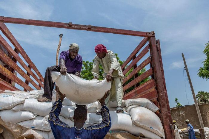 Food aid being distributed to internally displaced people (IDPs) in Banki IDP camp, Borno state, northeast Nigeria