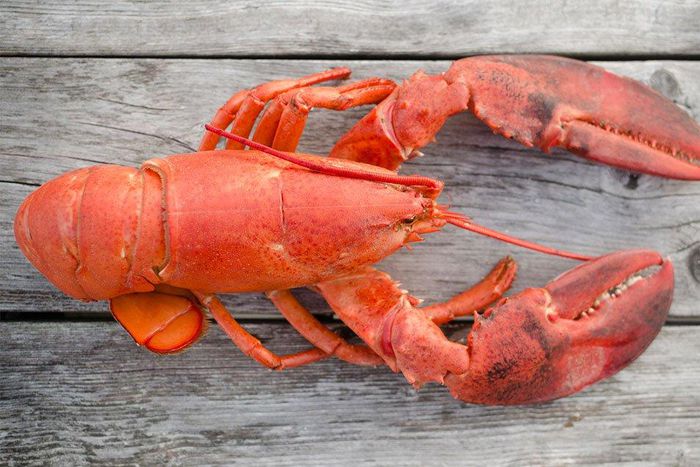 Red skin after using Retin-A