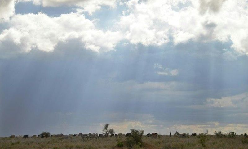 Cattle herders in Kenya's central Laikipia highlands say they invade private land simply out of the need to graze their cattle.