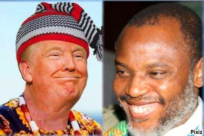 Wedding in America. reception in Nigeria