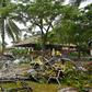 Last month's killer tsunami has dealt a serious blow to plans to pump billions of dollars into Tanjung Lesung