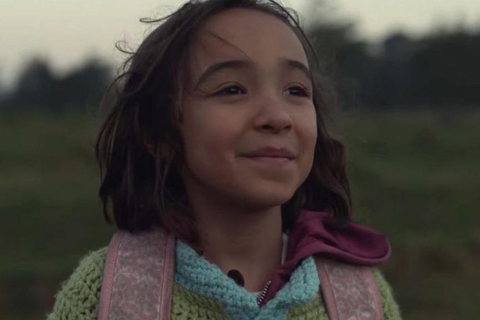 84 Lumber's ad touched on immigration