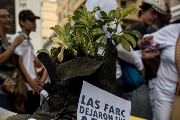 A Colombian FARC rebel turns his combat boots into a plant pot as a symbol of renouncing violence for peace, as up to 10,000 rebels prepare to return to civilian life