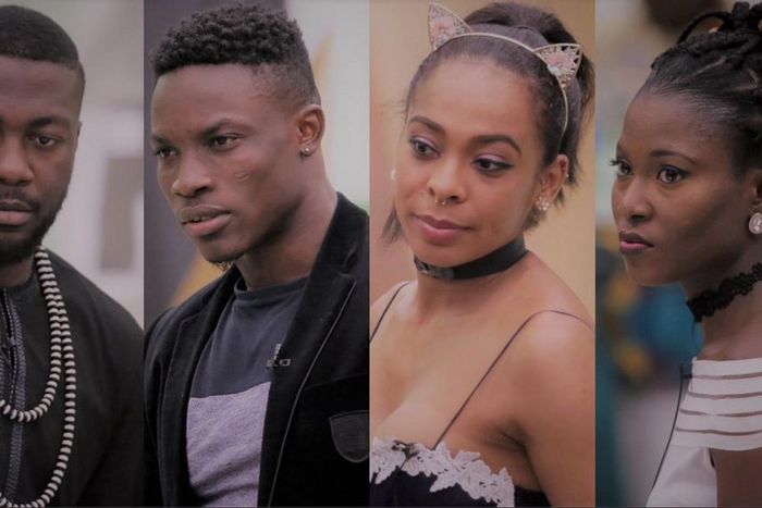 Bassey, Debbie-Rise, Tboss and Bally are up for possible eviction.