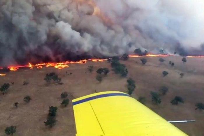 While bushfires ravage the Australian landscape every year, land and sea temperatures have been pushed up due to climate change, increasing the severity of fire seasons