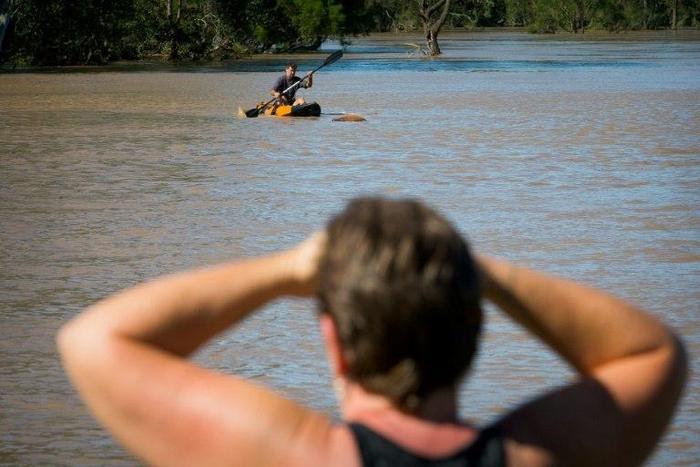 A resident watches as a property owner paddles a kayak to rescue a cow, stranded in floodwaters caused by Cyclone Debbie, in North MacLean, Brisbane