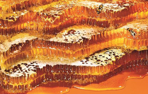 Delicious new ways to eat honey.