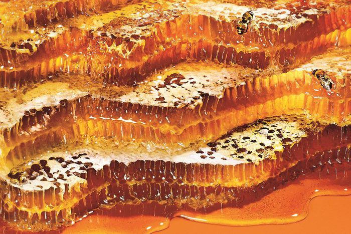 Delicious new ways to eat honey.