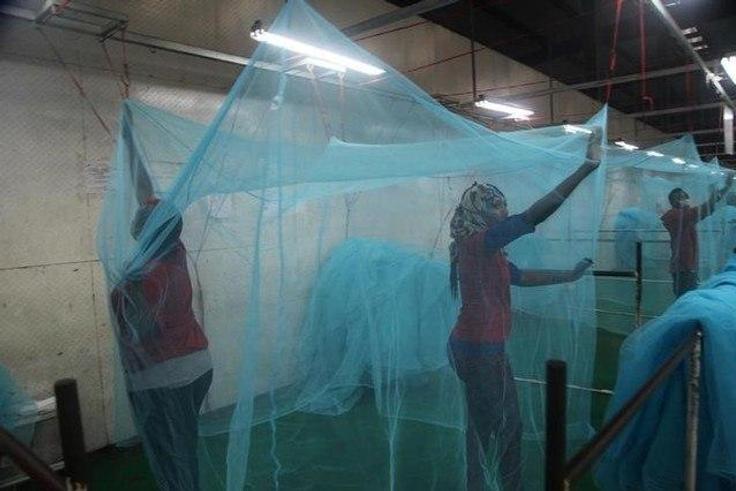 Mosquito nets.