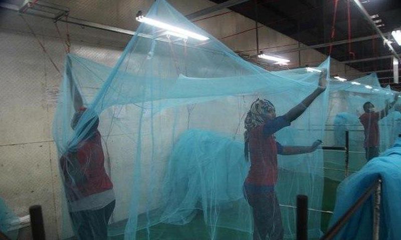 Mosquito nets.