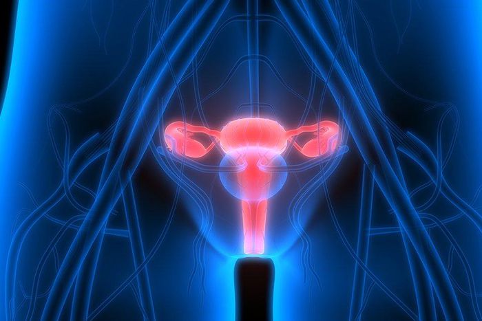 You’ll never believe what doctors found inside this woman’s ovary