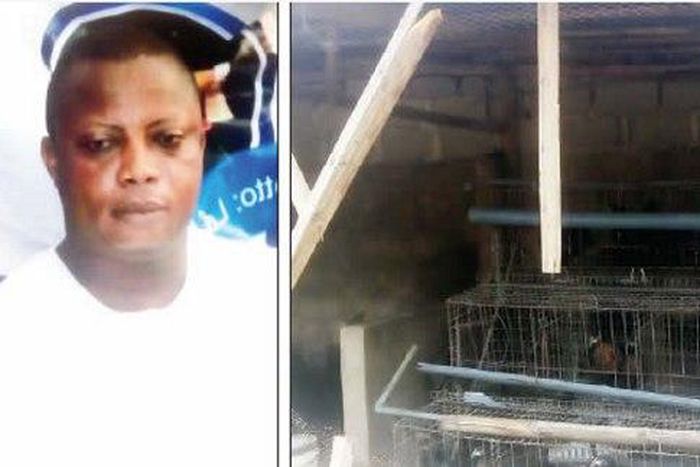 The late Idowu Solaja and the chicken roost