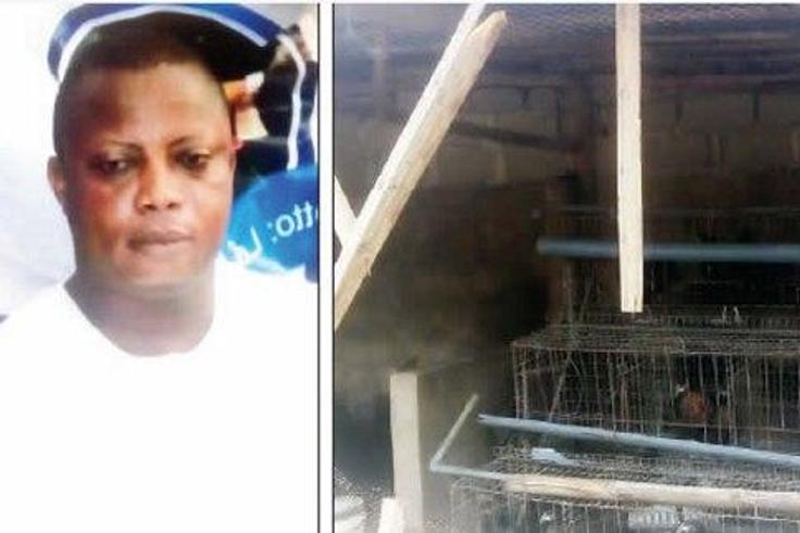 The late Idowu Solaja and the chicken roost