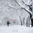 An Afghan man walks along a path under snow-laden trees.