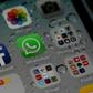 Europol said 25 WhatsApp groups, formed by invitation only, are being investigated for links to an online paedophile ring