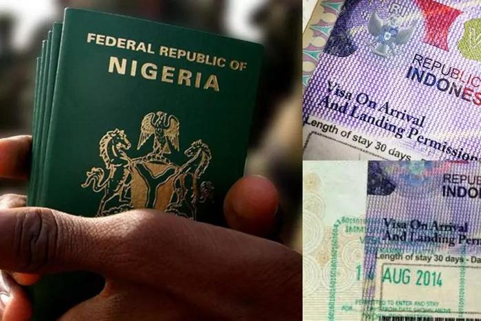 Nigerians now need NDLEA certificate to travel to Indonesia.