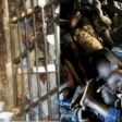 Nigerian Prison