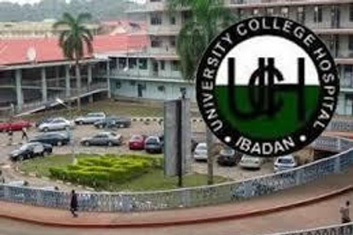___6351143___https:______static.pulse.com.gh___webservice___escenic___binary___6351143___2017___3___10___16___UCH-Ibadan